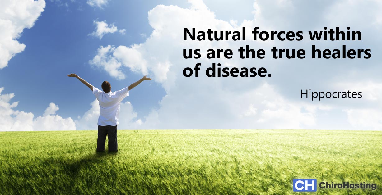 Quality Chiropractic Care Santa Fe Nm Chiropractor Back To Health Wellness Center